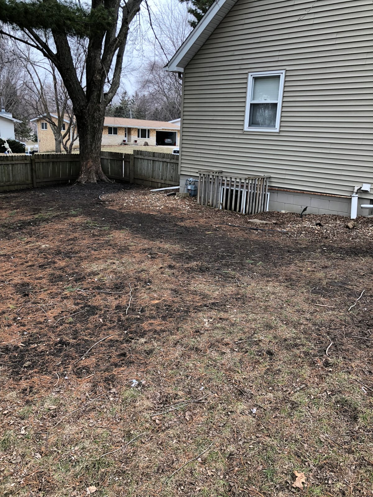 Back of the house before the lawn greened up