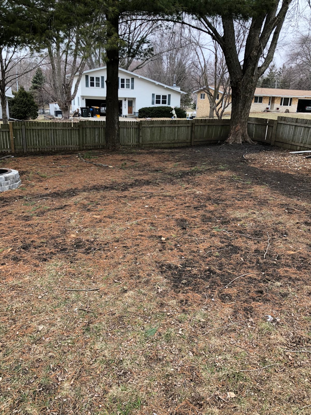 Privacy fence and bare trees out back