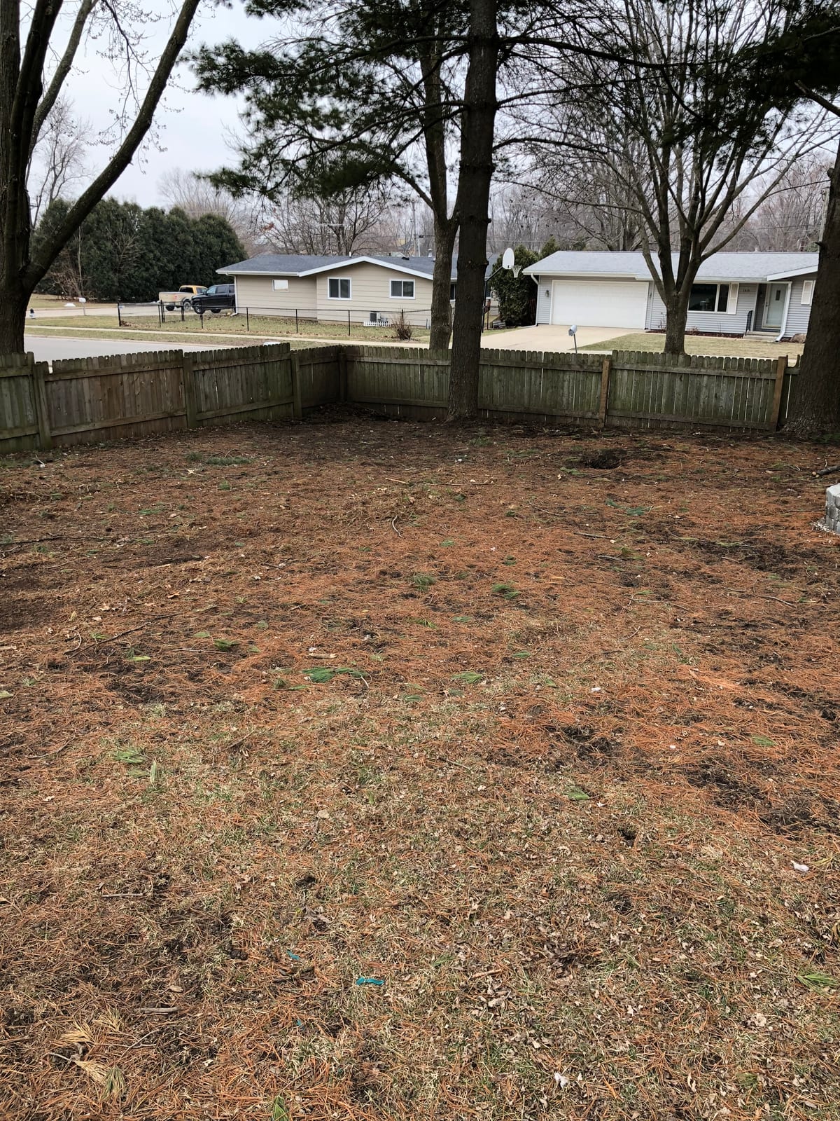 Backyard toward the neighbors, lawn still dormant