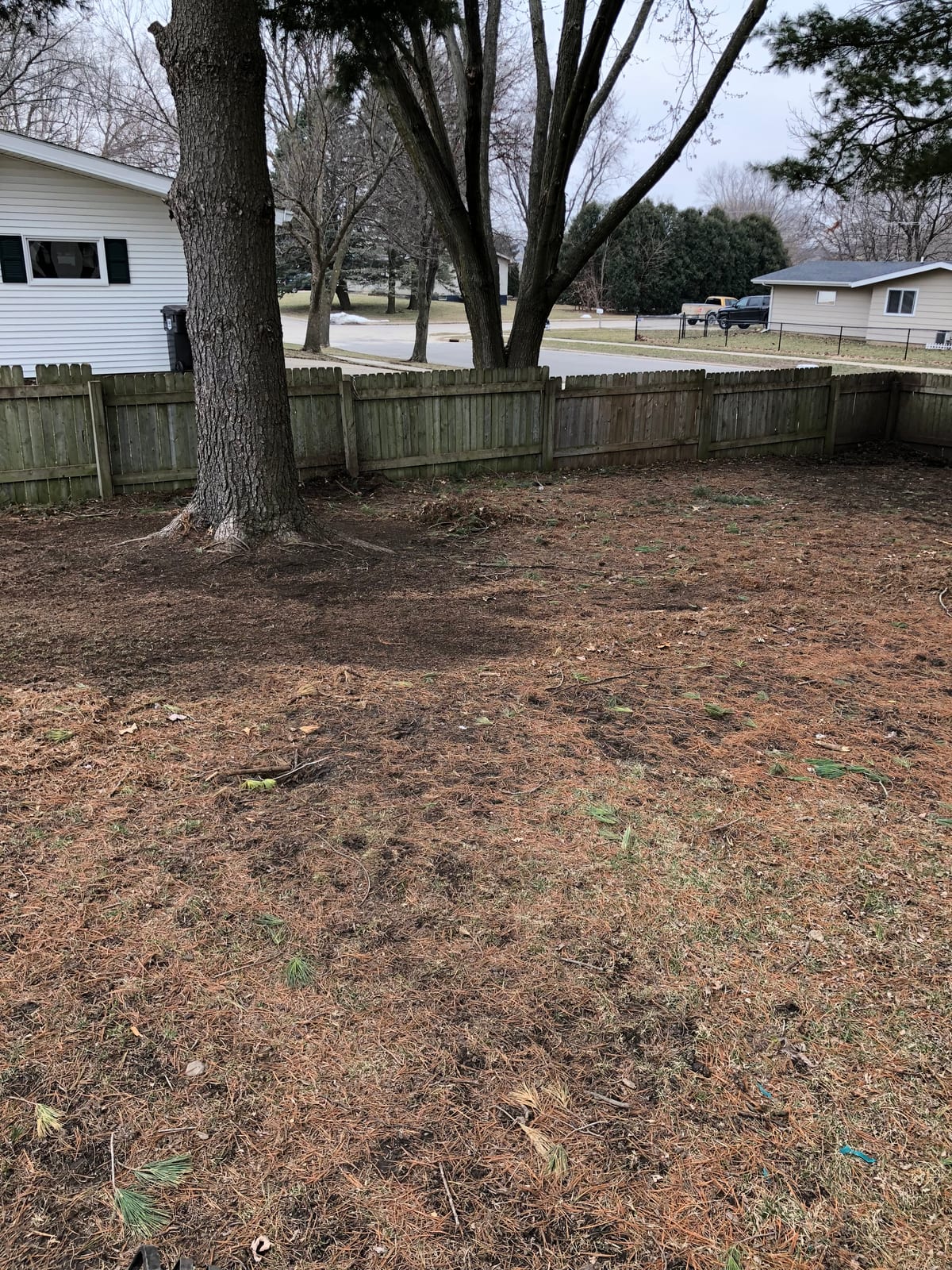 Big shade tree and the back fence line