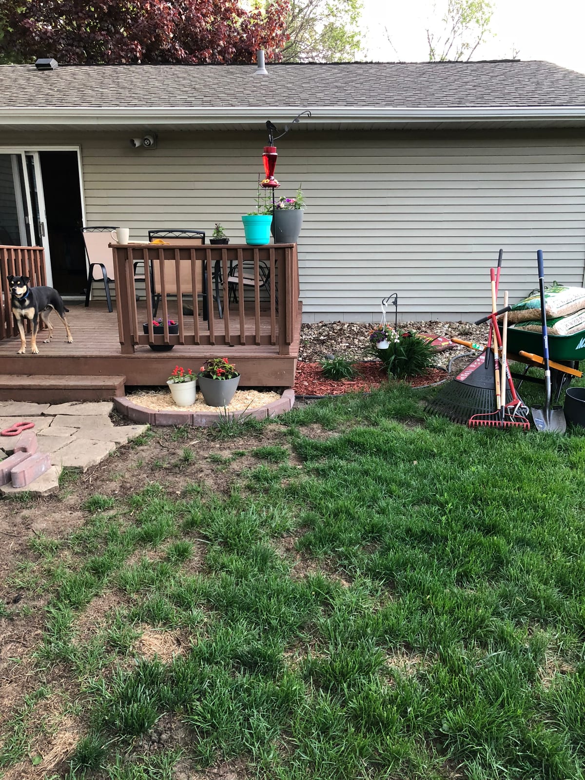 Backyard deck with potted plants and a freshly mulched bed