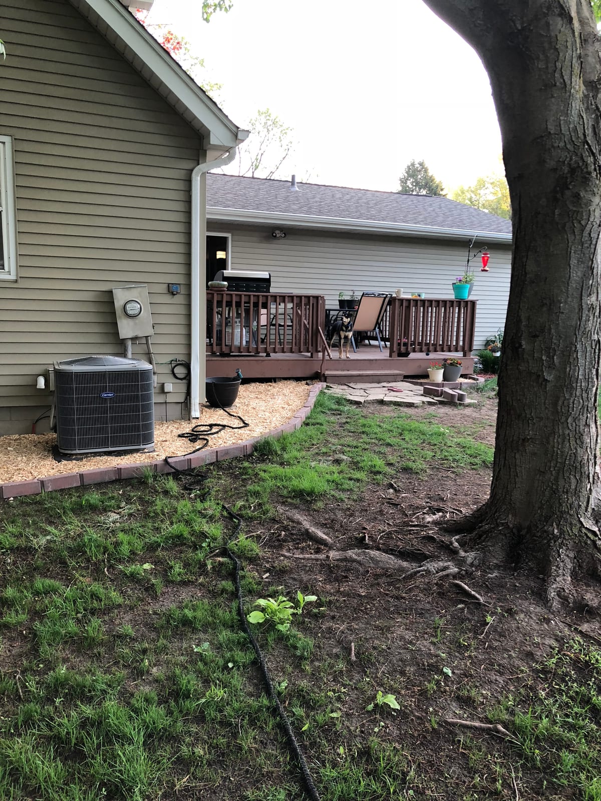 Side yard: deck, AC unit, and mulched bed under the big tree