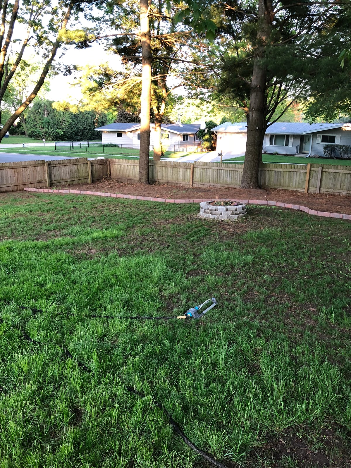 Fenced backyard with new grass and the sprinkler running
