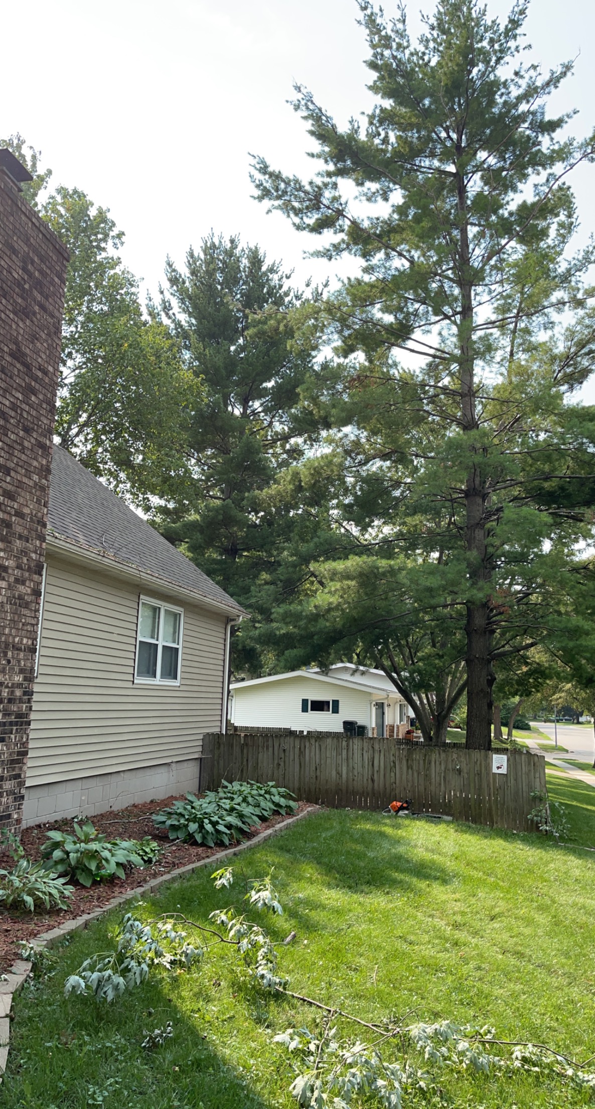 House corner with brick chimney, tall pines, and a fenced garden bed