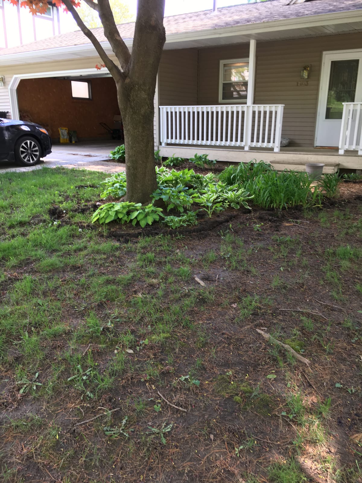 Side garden bed with the perennials coming up