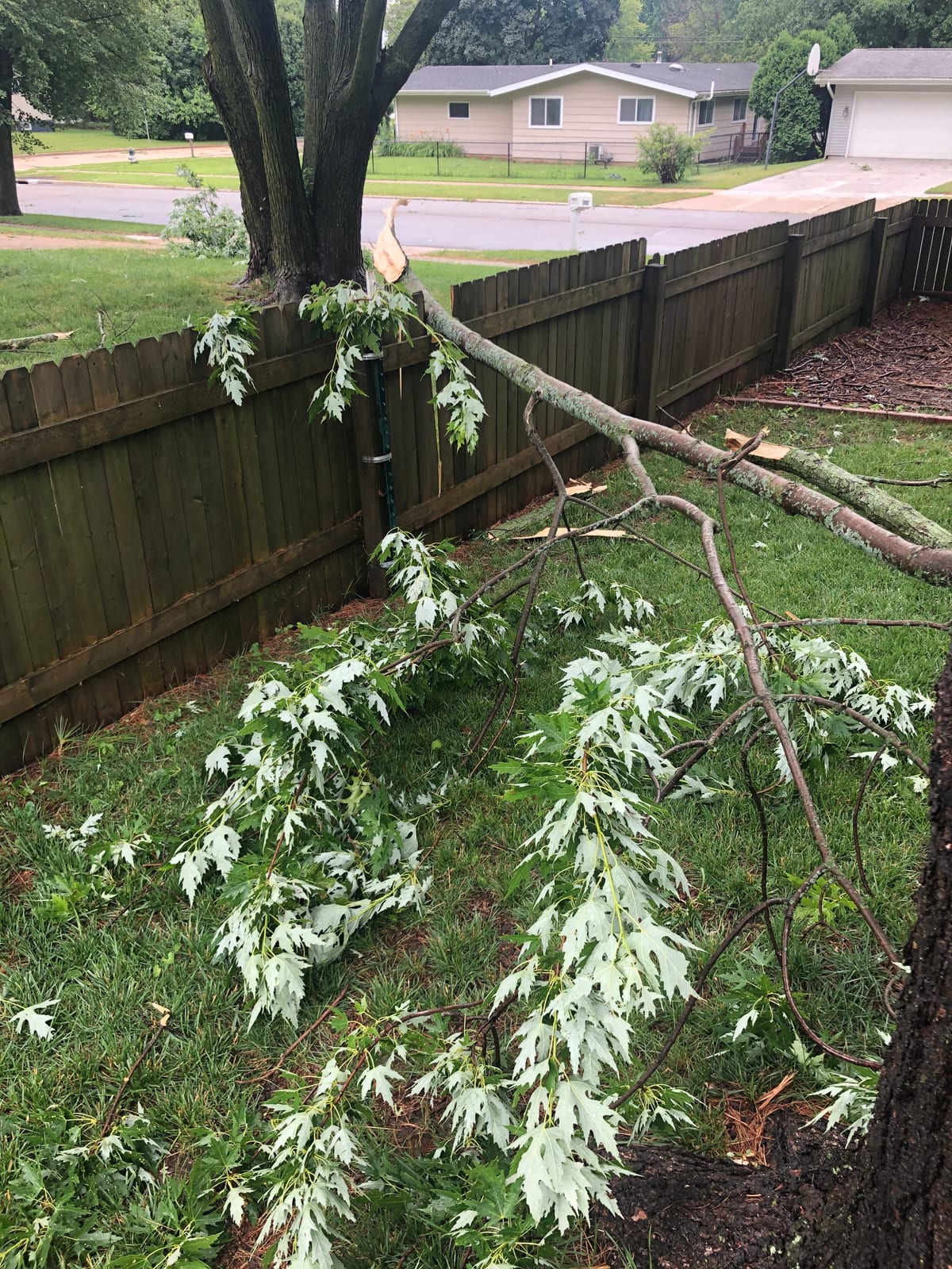 Large fallen tree limb down across the backyard near the deck