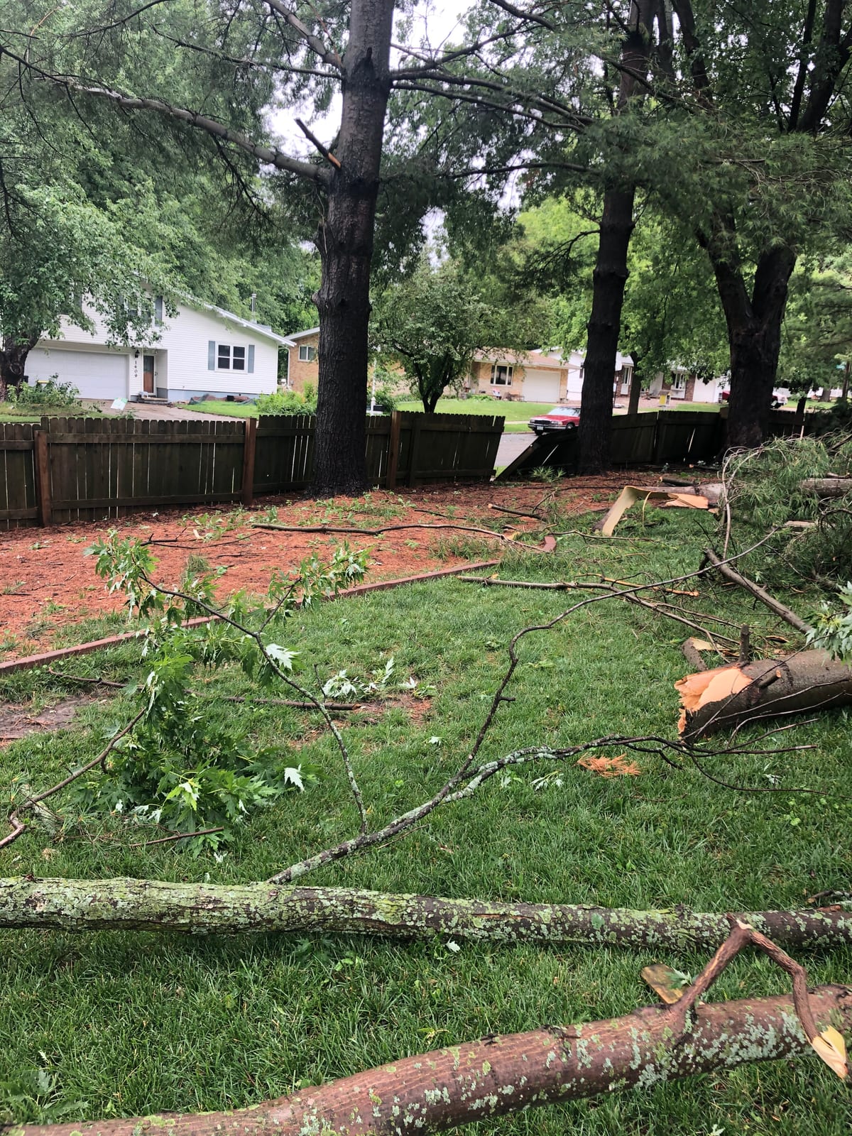 Storm-damaged trees with broken branches across the yard