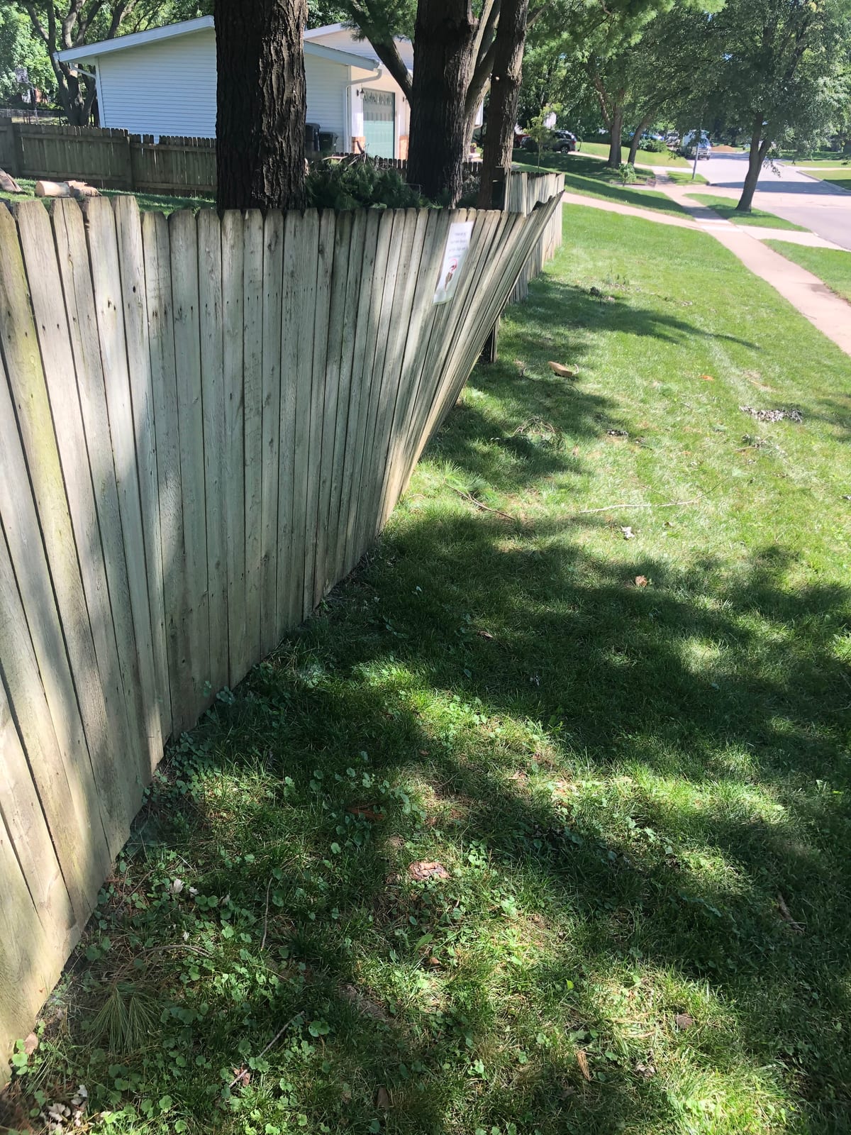 Weathered wood walkway curving across a sunny lawn