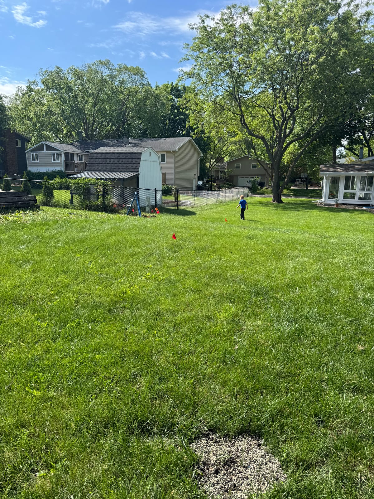 Wide green backyard with marker flags for a project