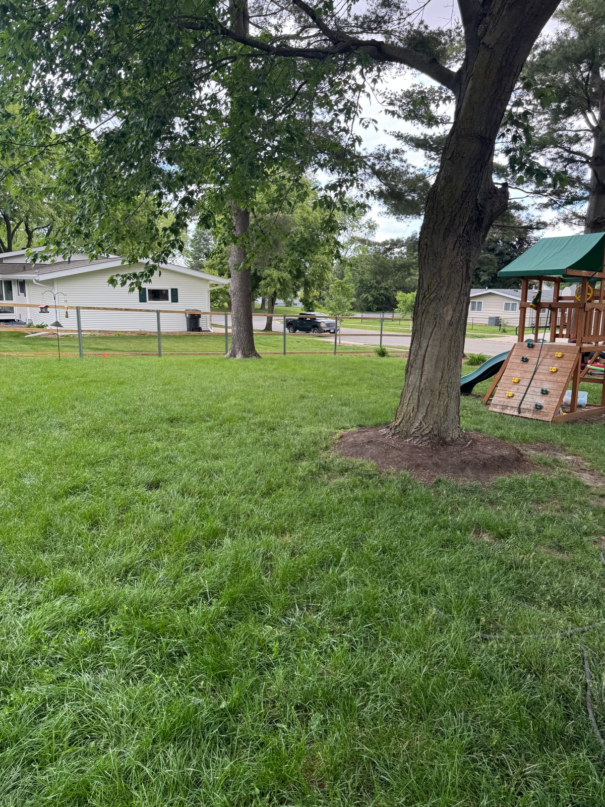 Backyard wooden playset under the large trees