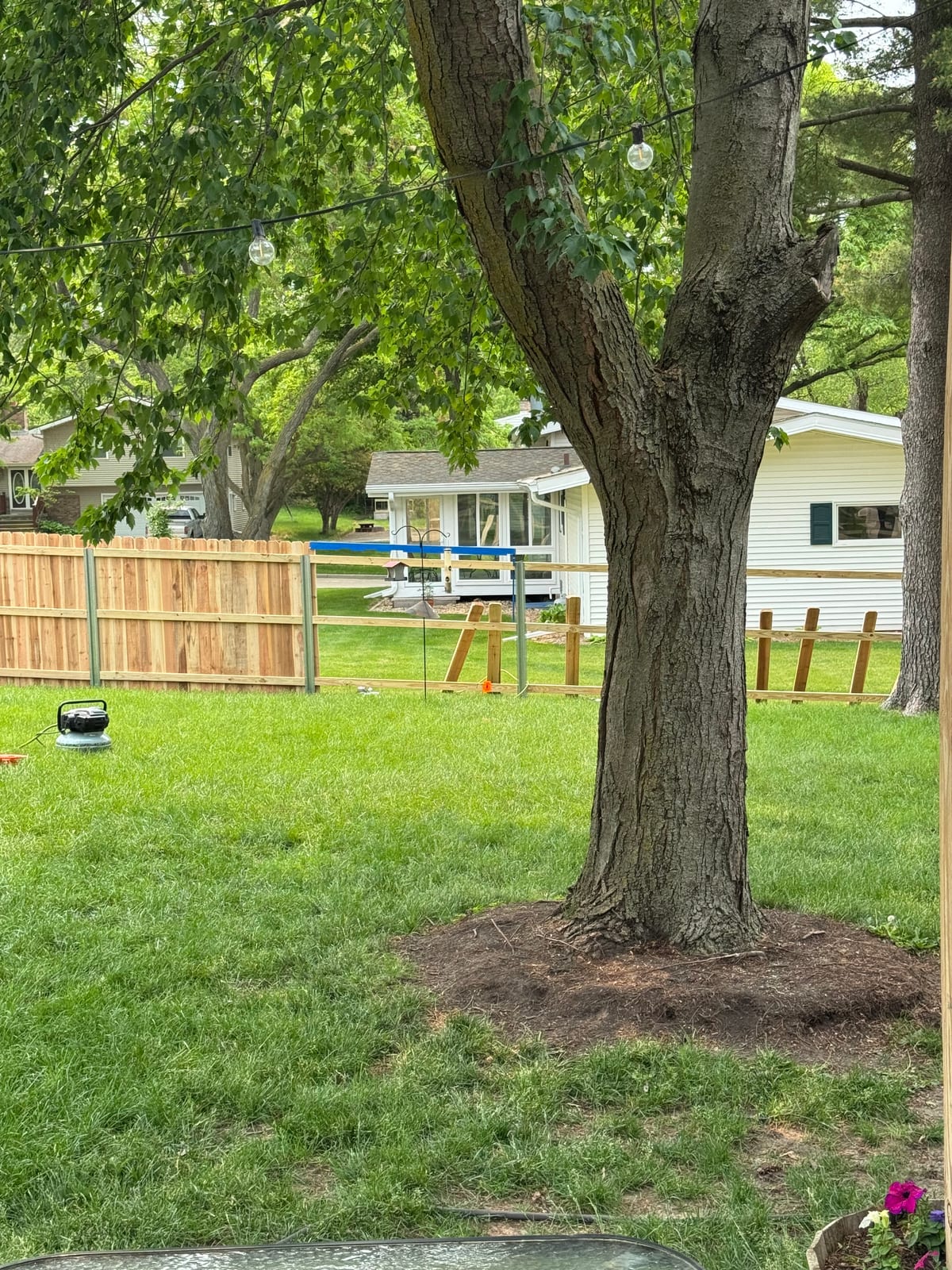 Deck construction past a large tree, freshly graded yard