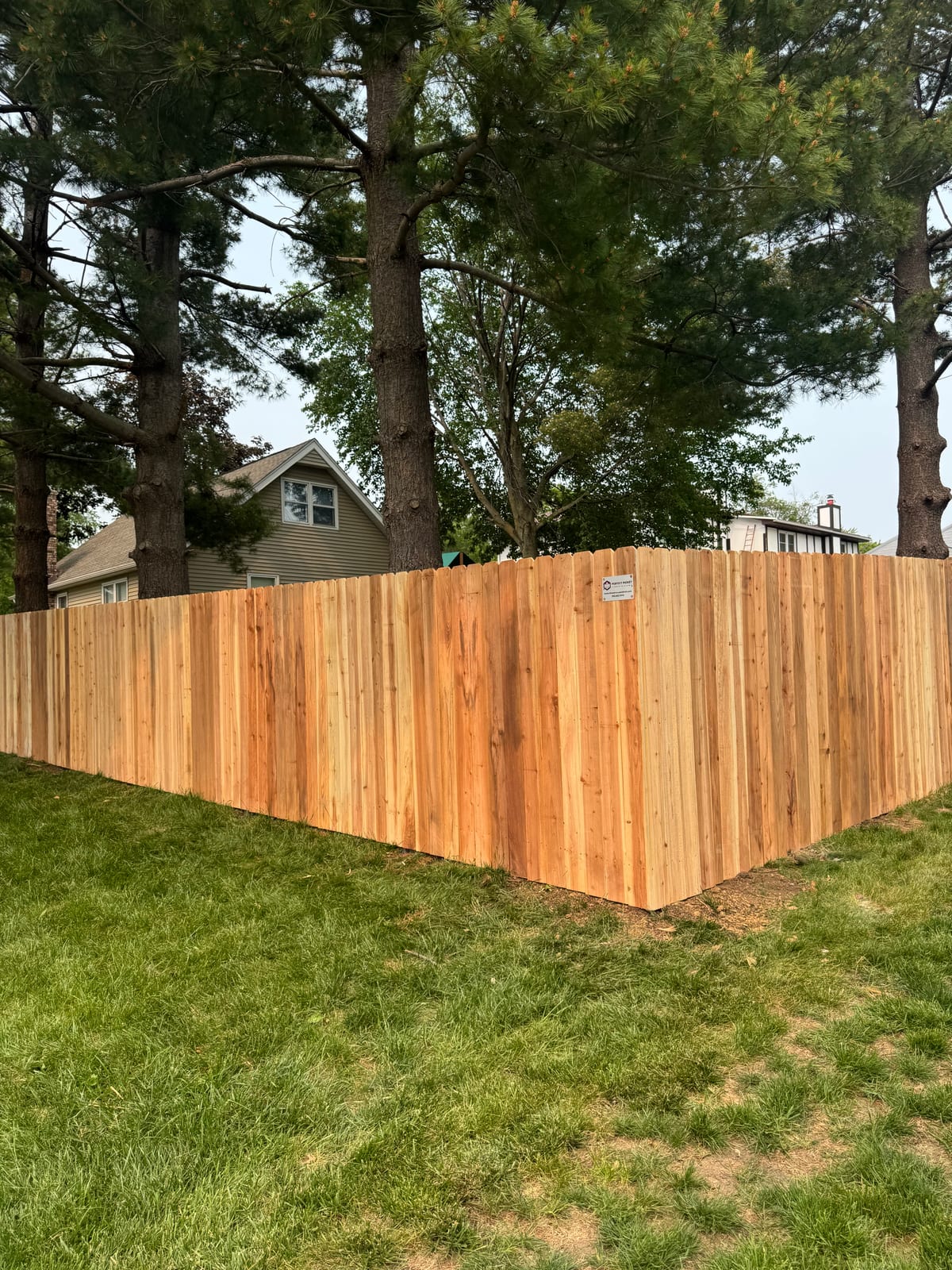 Finished cedar deck with pines and green siding beyond