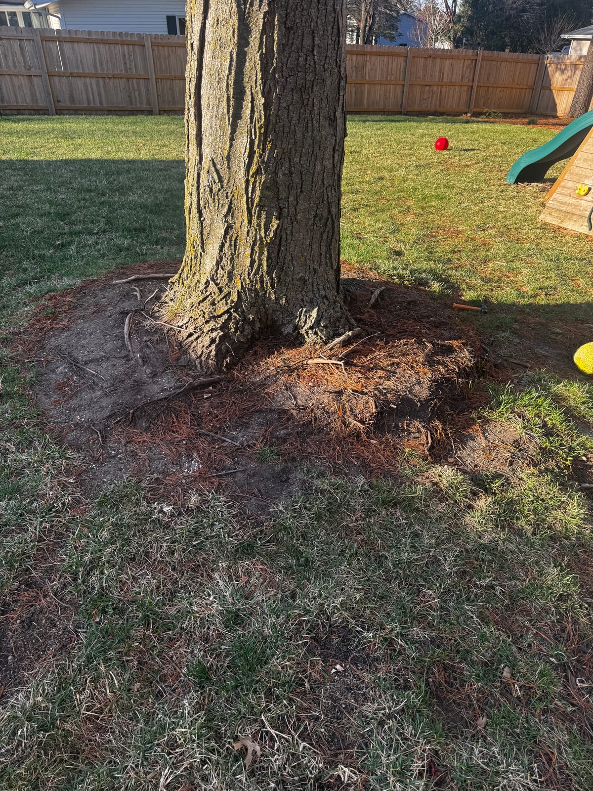 Mature tree over the mulched bed, deck and swings nearby