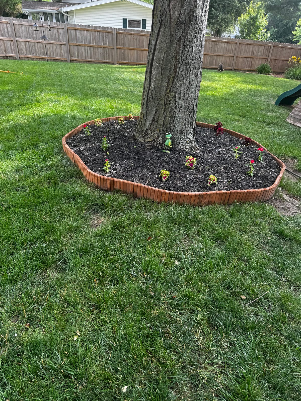 New cedar planter ring and flowers around the big backyard tree