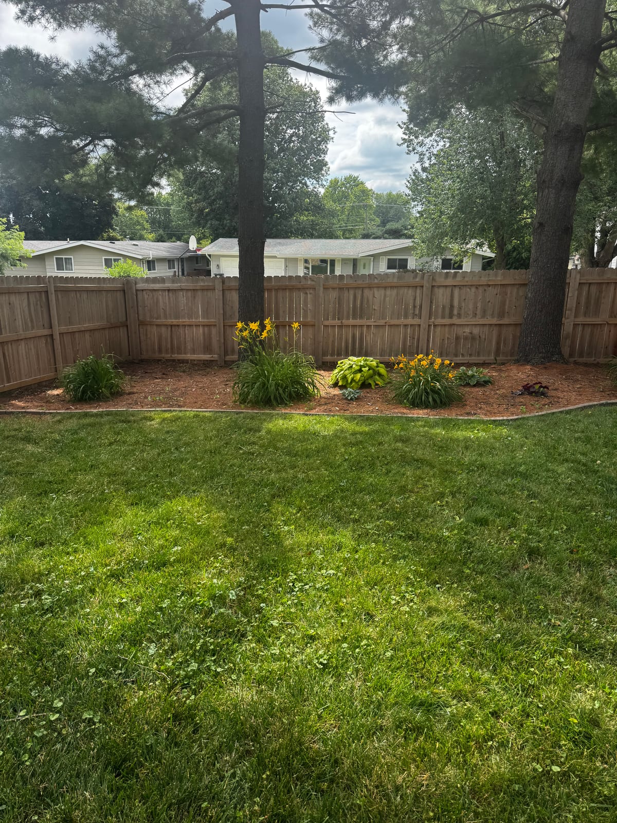 Black-eyed susans filling the garden bed along the deck